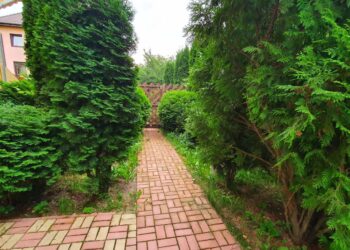 изображение_viber_2022-06-18_12-51-55-210