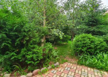 изображение_viber_2022-06-18_12-51-55-595